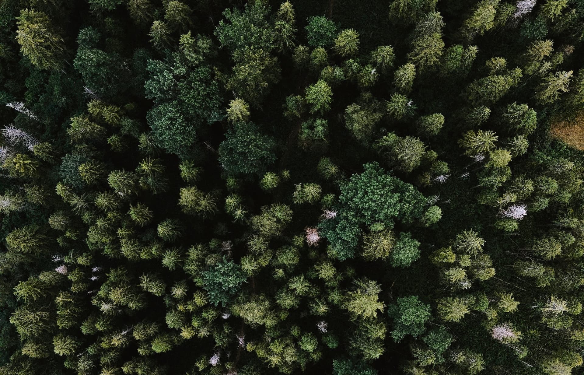 Článok 3: Zamerané na Dodávateľov (Predajcovia)